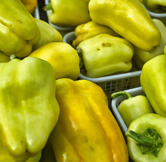 Global Fruits Farmers Exporters