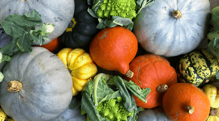 Global Fruits Farmers Exporters