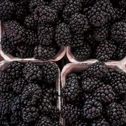 Global Fruits Farmers Exporters