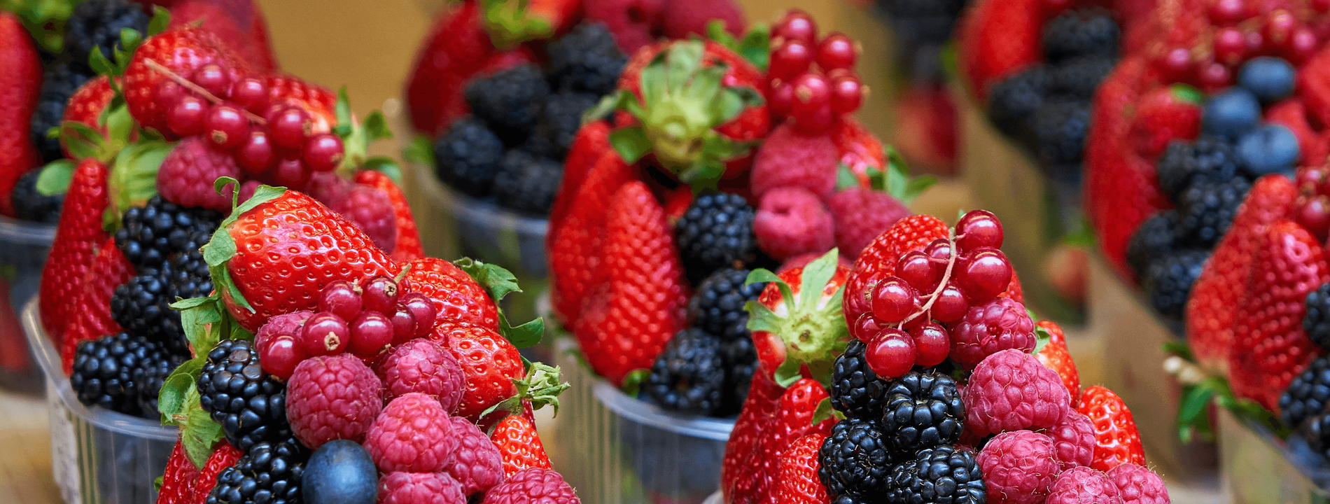 Global Fruits Farmers Exporters