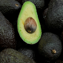 Global Fruits Farmers Exporters