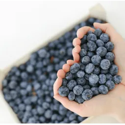 Global Fruits Farmers Exporters