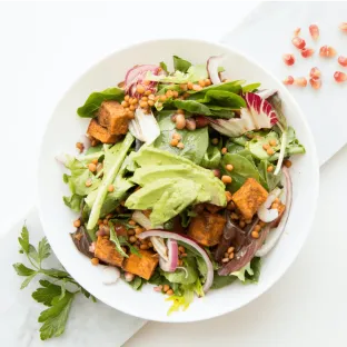 Global Fruits Farmers Exporters